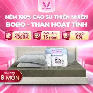Nệm 100% cao su thiên nhiên Thắng Lợi BoBo-Than hoạt tính