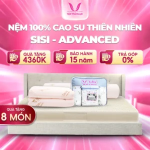 Nệm 100% cao su thiên nhiên Thắng Lợi  SiSi - Advanced