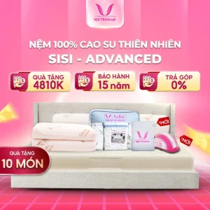 Nệm 100% cao su thiên nhiên Thắng Lợi  SiSi - Advanced