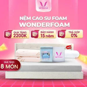 NỆM CAO SU WONDER FOAM THẮNG LỢI