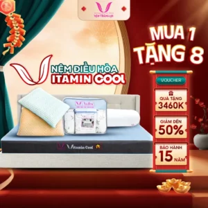 NỆM ĐIỀU HOÀ THẮNG LỢI VITAMIN COOL