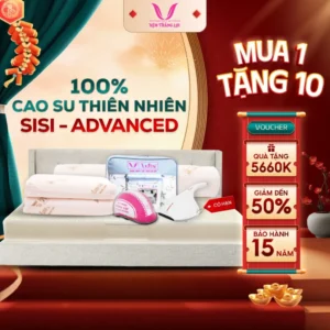 Nệm 100% cao su thiên nhiên Thắng Lợi  SiSi - Advanced
