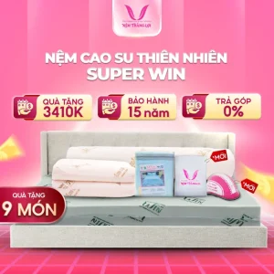 NỆM CAO SU THIÊN NHIÊN SUPPER WIN THẮNG LỢI