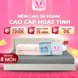 NỆM FOAM HOẠT TÍNH CAO CẤP THẮNG LỢI