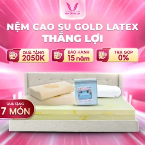 NỆM CAO SU GOLD LATEX THẮNG LỢI