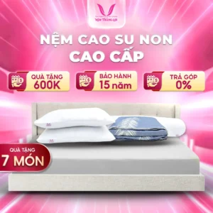 NỆM CAO SU NON CAO CẤP THẮNG LỢI