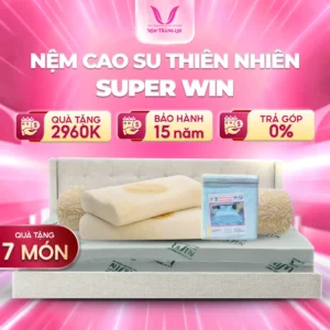 NỆM CAO SU THIÊN NHIÊN SUPPER WIN THẮNG LỢI
