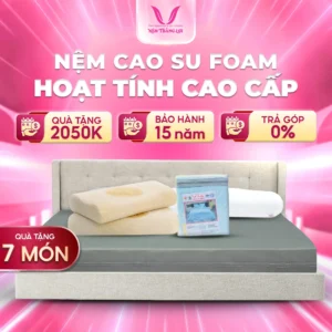 NỆM FOAM HOẠT TÍNH CAO CẤP THẮNG LỢI