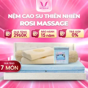 NỆM CAO SU THIÊN NHIÊN ROSI MASSAGE