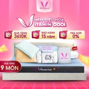 NỆM ĐIỀU HOÀ THẮNG LỢI VITAMIN COOL