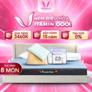 NỆM ĐIỀU HOÀ THẮNG LỢI VITAMIN COOL