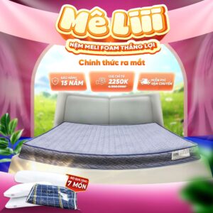 NỆM MELI FOAM THẮNG LỢI
