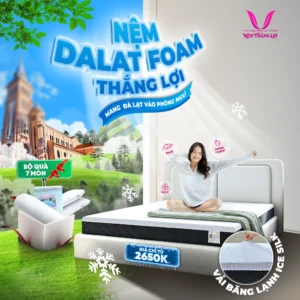 NỆM DALAT FOAM THẮNG LỢI